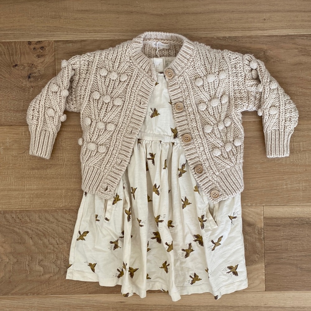 Rylee and Cru 2-3 Bird Dress Pre Owned
